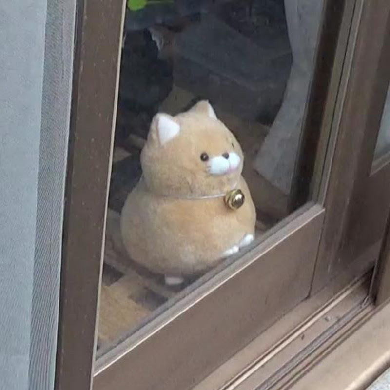 くーねる - 網紅的藏寶箱 