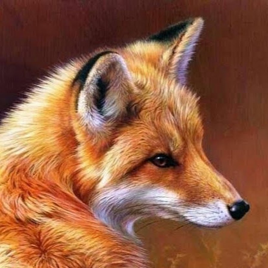 Лиса с зелеными глазами картинки