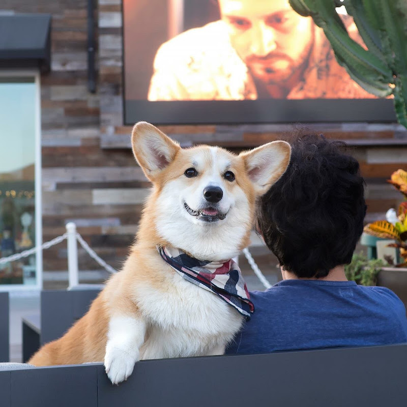 KhunEgg - 網紅的藏寶箱 