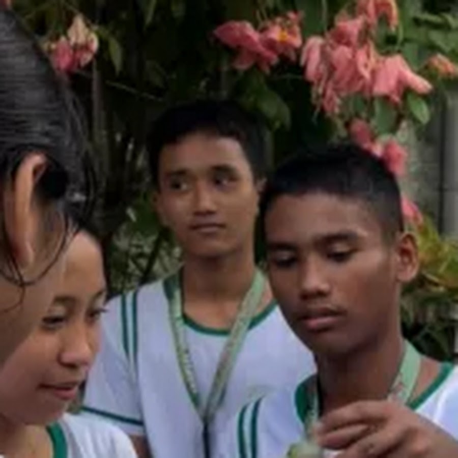 Dark blade v3 blox. Астра фокс. Дарк бф. Малыш бф fnf. Дарк блейд 2д картинка из блокс фрукта.