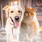 «Веселая Семейка и Ко»