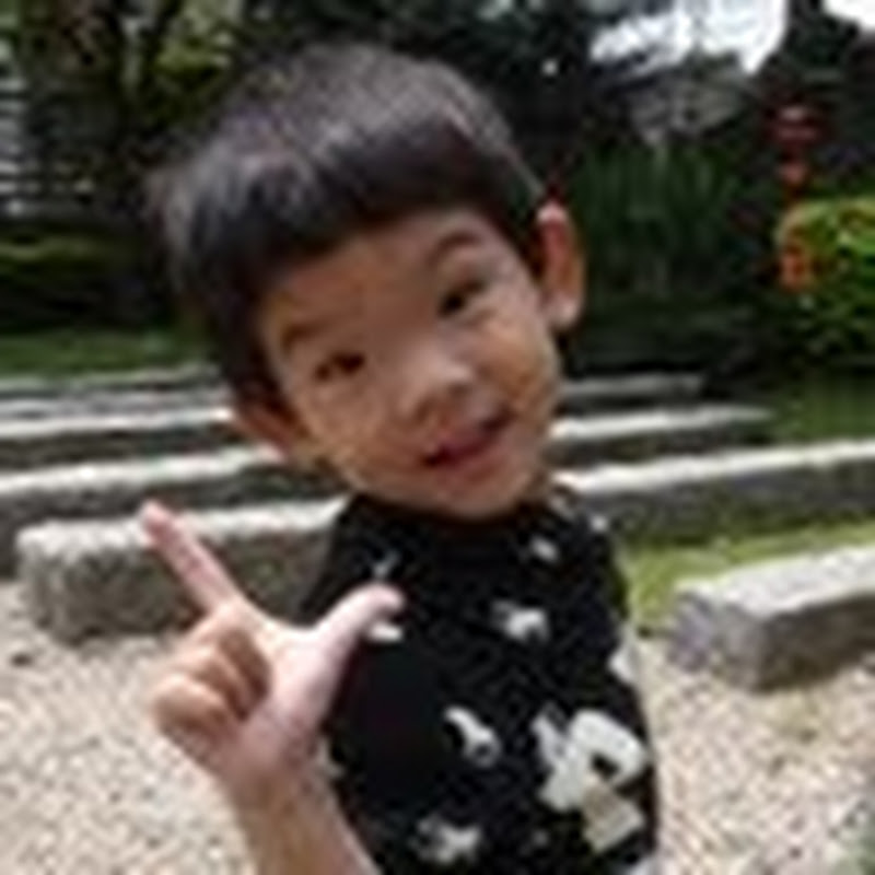 劉莉芳 - 網紅的藏寶箱 