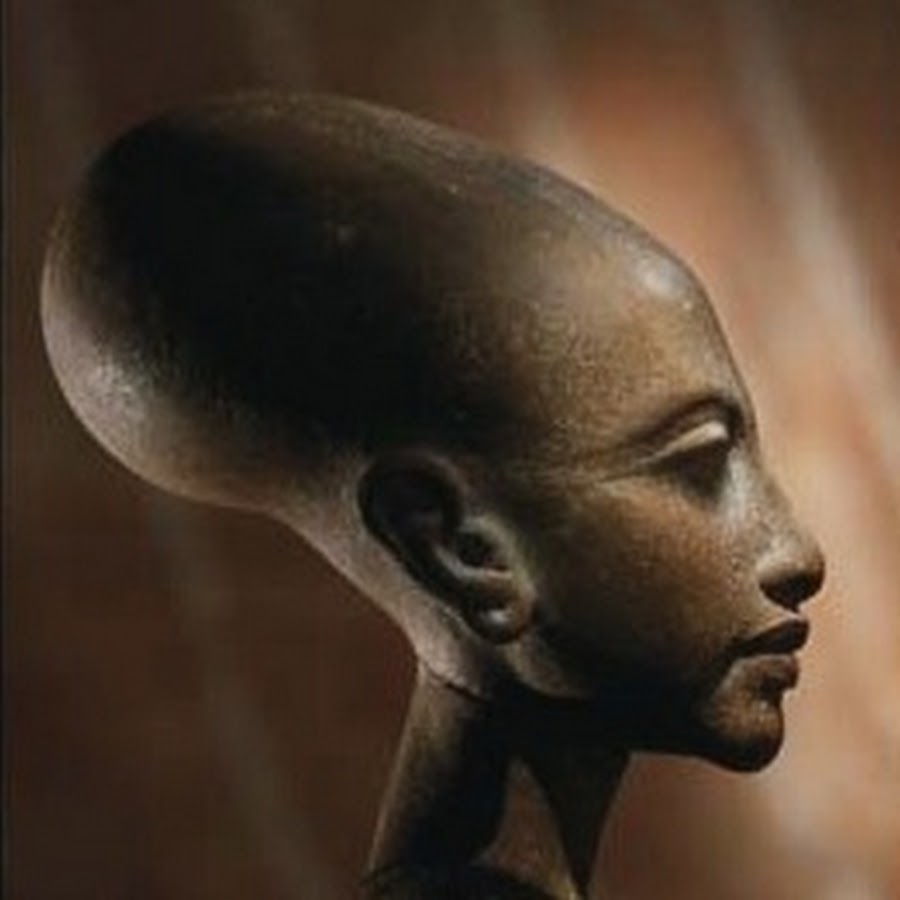 Почему голова вытянутая. Яйцеголовые Нефертити. Нефертити и Эхнатон черепа. Статуя Нефертити. Нефертити лысая.