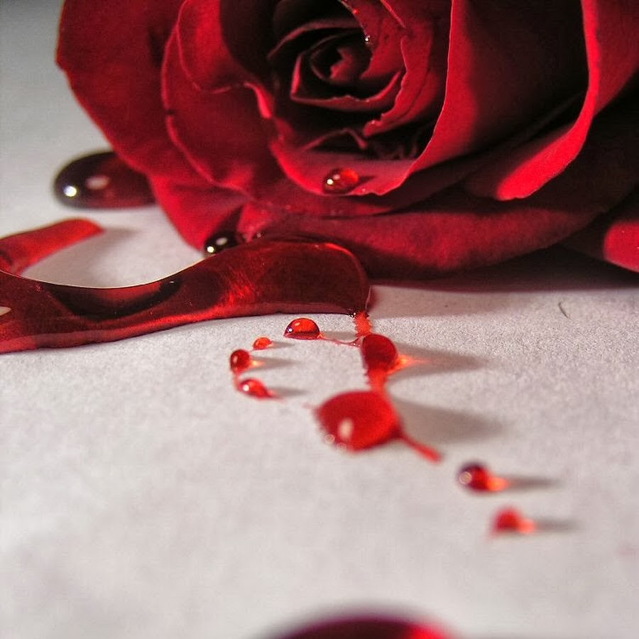 Любовь кровавые цветы