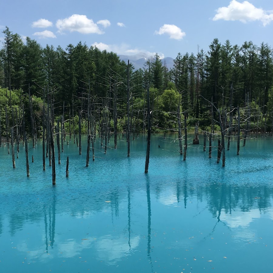 Healing Scenery Japan 癒しの風景日本 Youtube