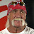 Hulkster