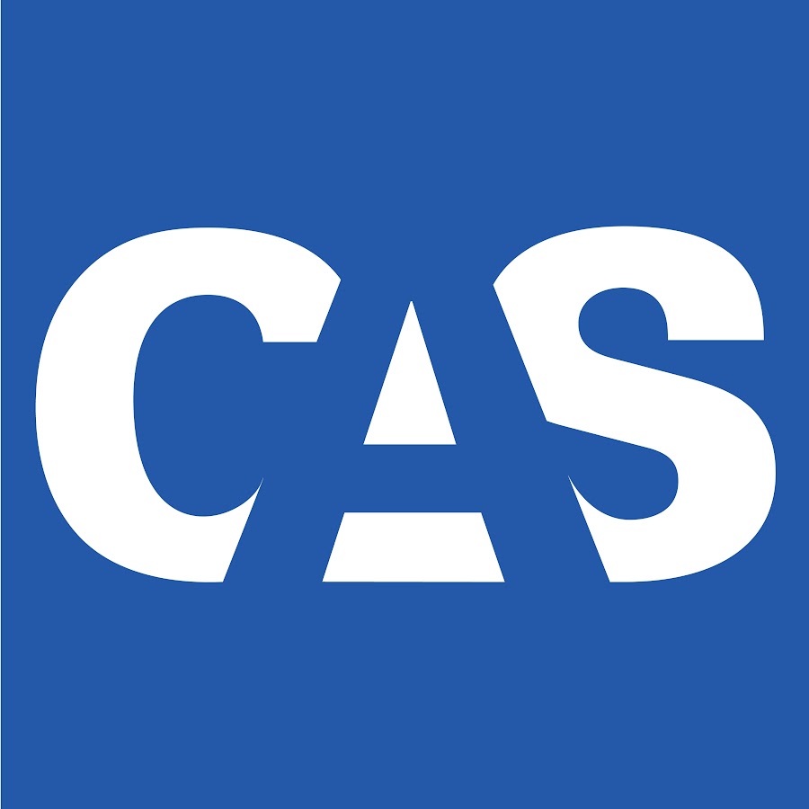 Cas 21 21 21. B-CAS картинка. КАС лого. CAS. WCAG Standards..