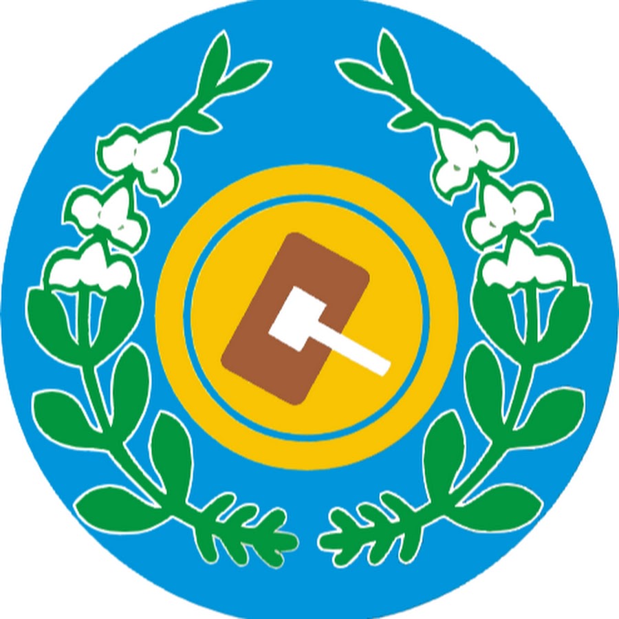 臺東縣議會 Youtube