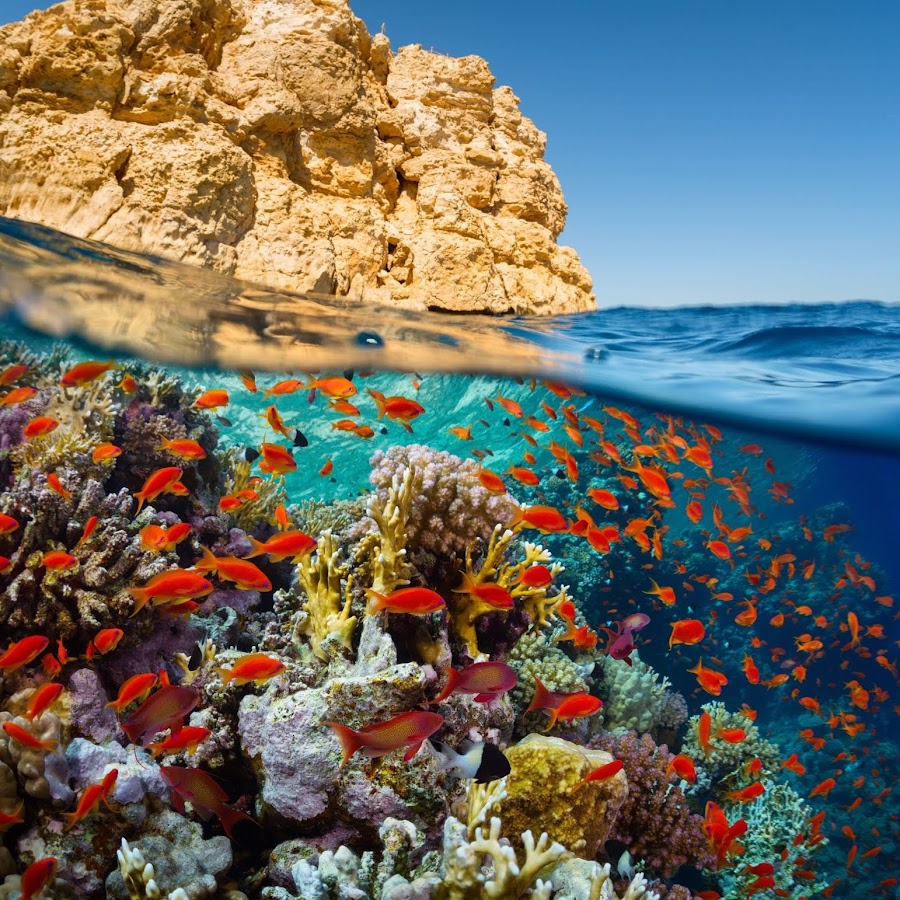 Красное море Хургада