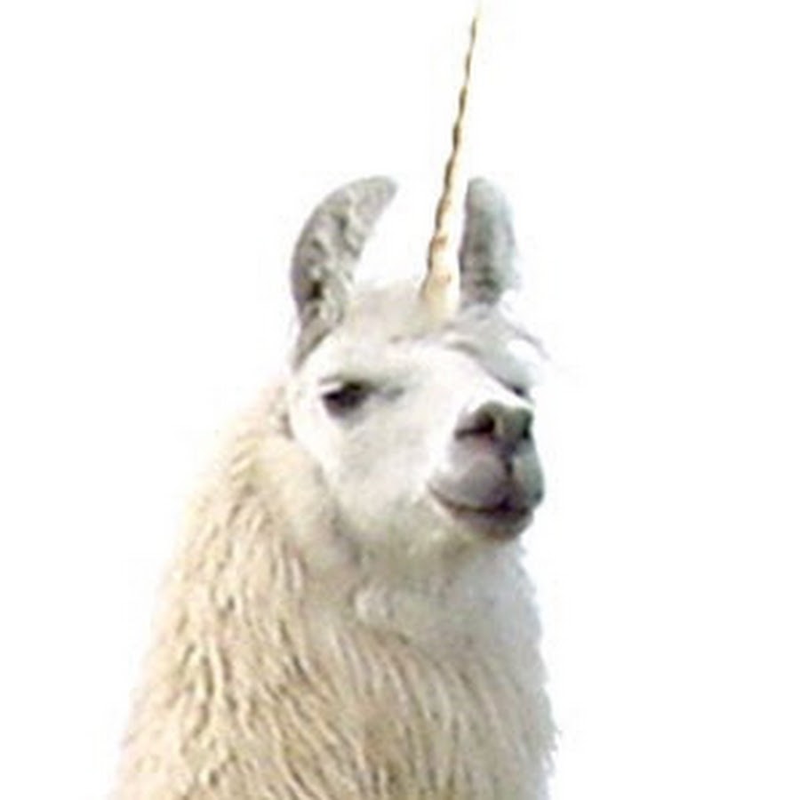 Лама с рогами. Лама единорог. Альпака рисунок для срисовки. Закажи игрушку лама. Единорог на розовом фоне.