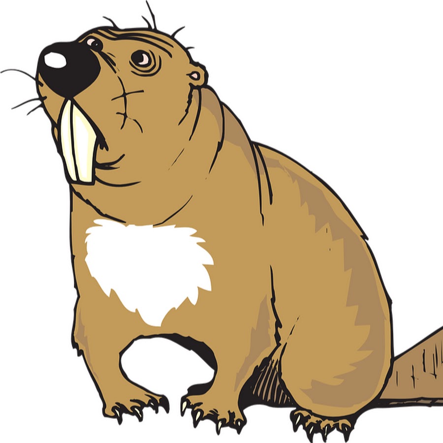 Рисунки мультяшных бобров