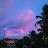 lavenderlove_s2