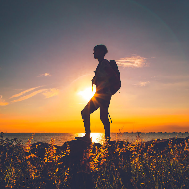 MatthewIp 馬豆葉 - 網紅的藏寶箱 