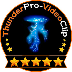 ThunderPro-VideoClip net worth