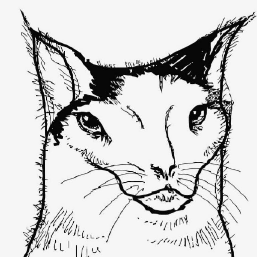 Мемы с котами рисунок