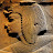 comments user