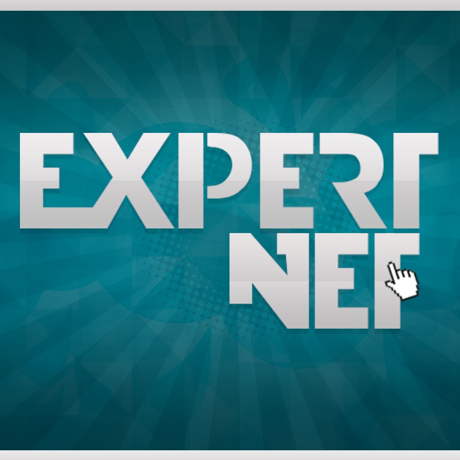 Expert net. Expert net
