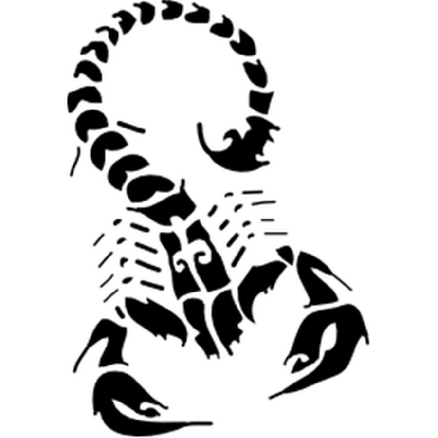 Скорпион векторное изображение
