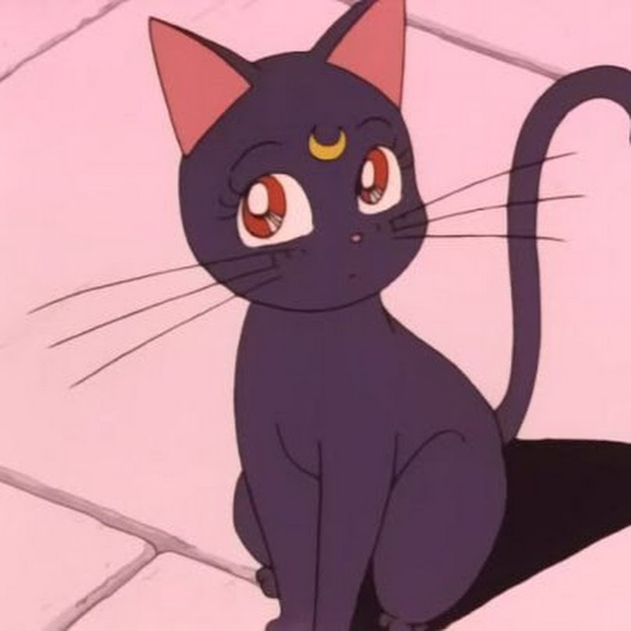 Sailor Moon Луна кошка