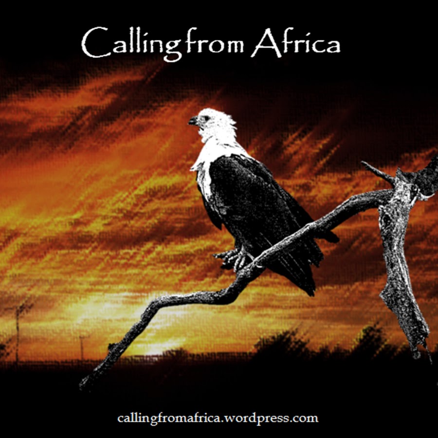 Africa calling