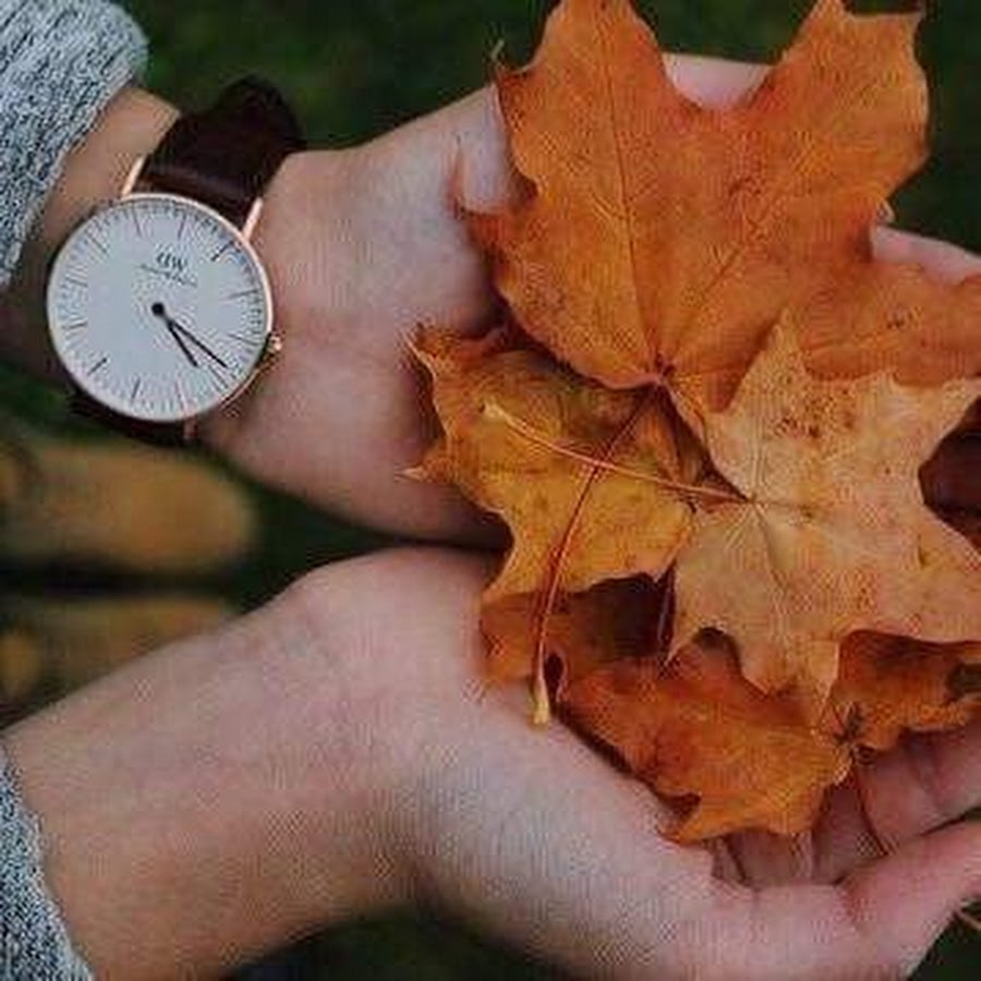 Осенние листья в руках
