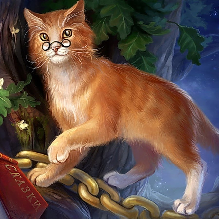 Кот ученый рисунок