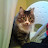 Tanya Brown Avatar