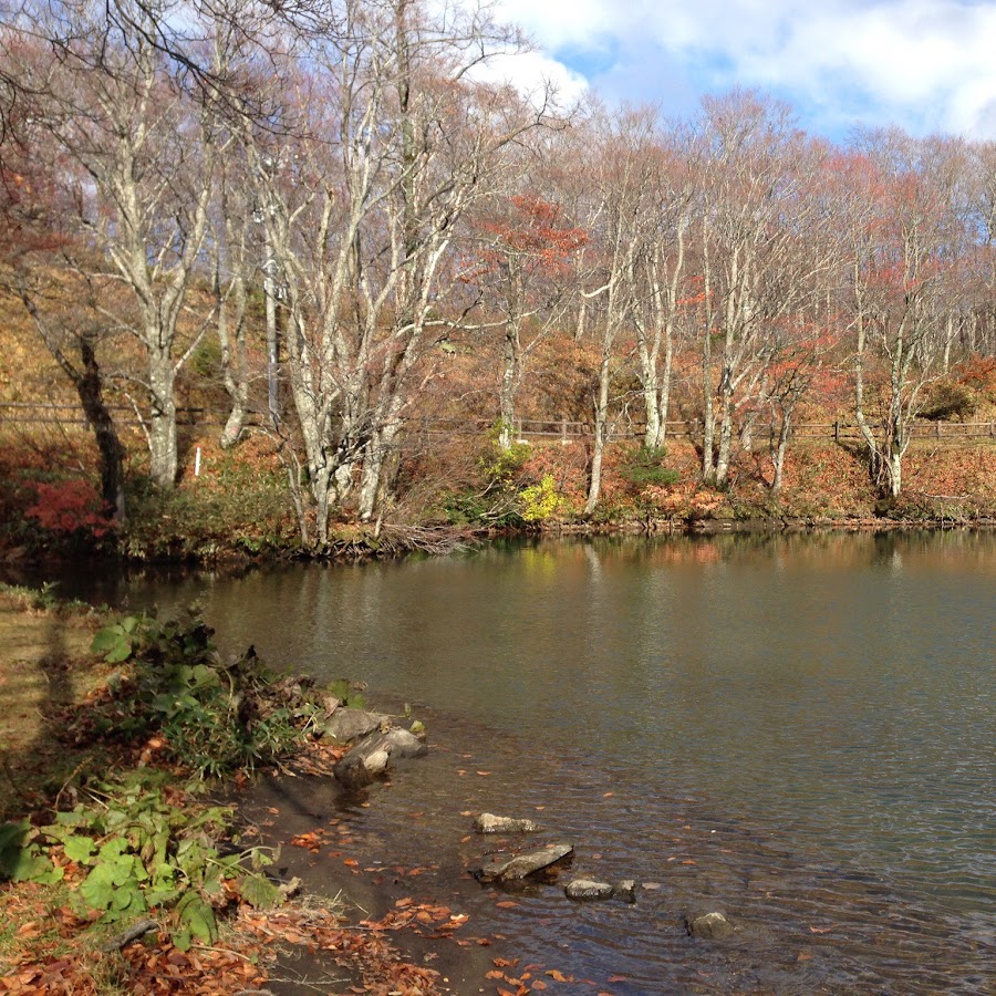 山口貴史 Youtube