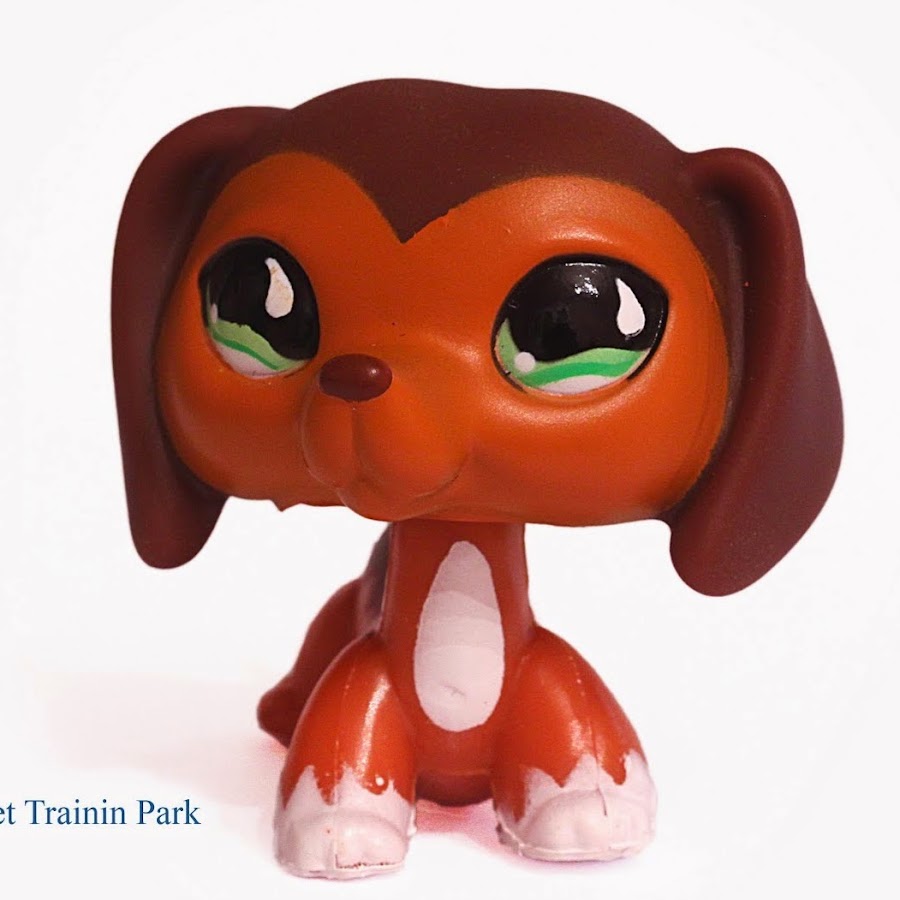 LPS бурундук Festima.Ru - частные объявления