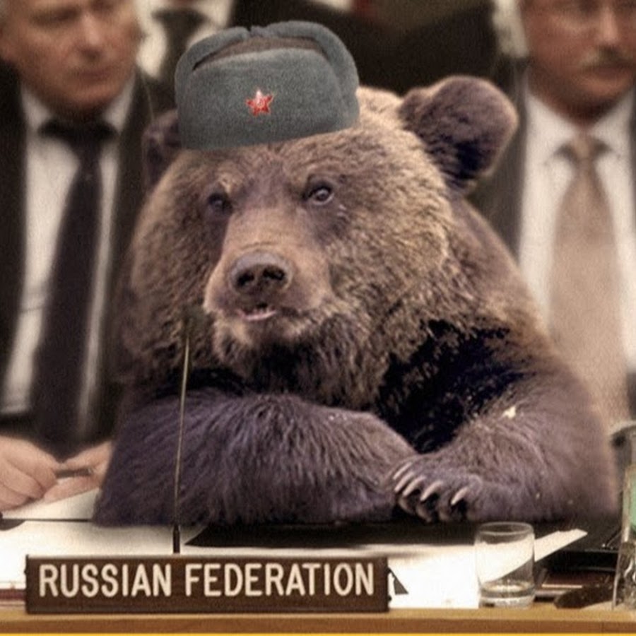 Russia bear steam фото 57