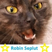 «Robin Seplut»