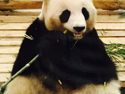 【人気ダウンロード！】 ほた 298229-火垂るの墓 英語