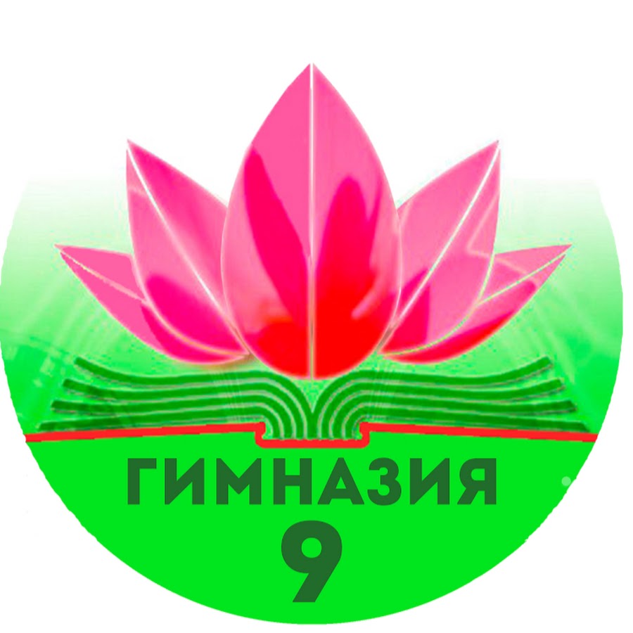Гимназия 9 краснокаменск. Муниципальное общеобразовательное учреждение гимназия 9. Директор гимназии 15 красноярск. Муниципальное общеобразовательное учреждение гимназия 9. Моу гимназия 1.