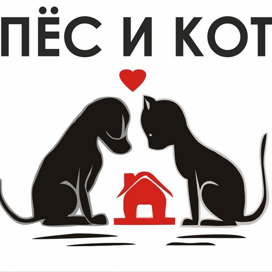 Бездомные собаки. Уличные животные. Поможем животным вместе картинки. Бездомные собачки и кошечки. Плакат помощь животным.