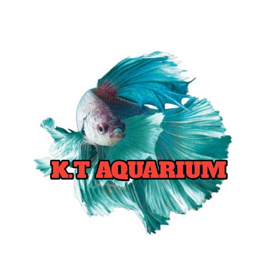 K T Aquarium Youtube