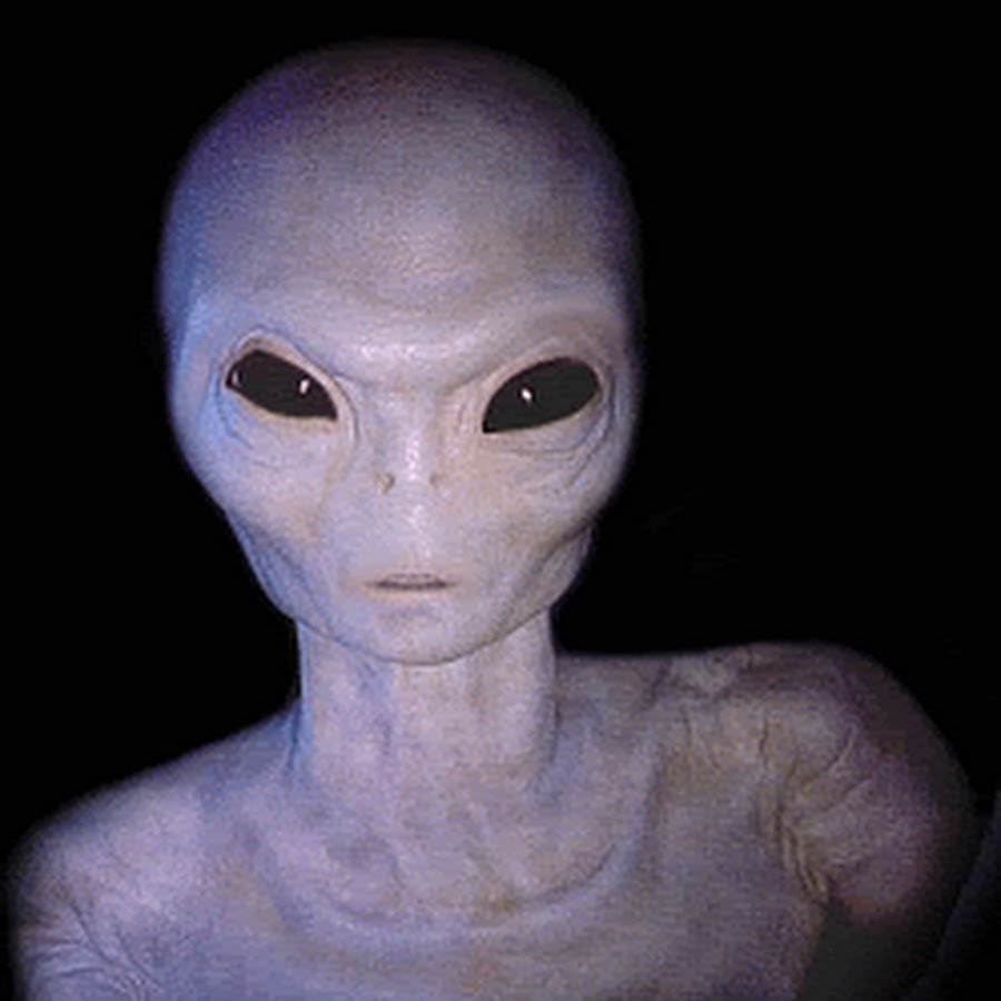 Инопланетяне картинки настоящие