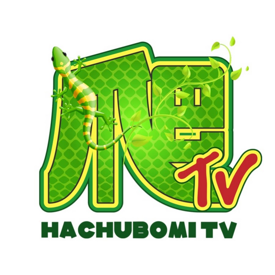 爬ちゅぼみtv Youtube