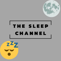 The Sleep Channel net worth
