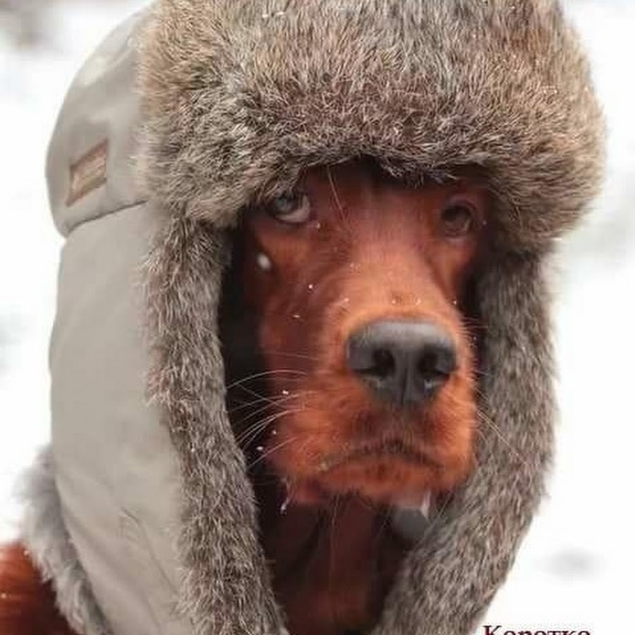 Мотор дяди васи