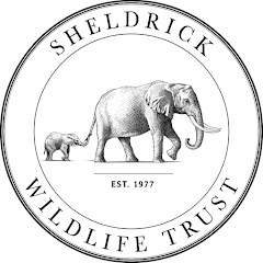 Sheldrick Trust thumbnail