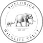 Sheldrick Trust YouTube Profile Photo