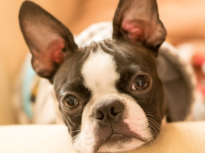 [最も好ましい] 松下 大介 123870-松下大介 ホビージャパン