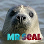 Mr Seal YouTube Profile Photo