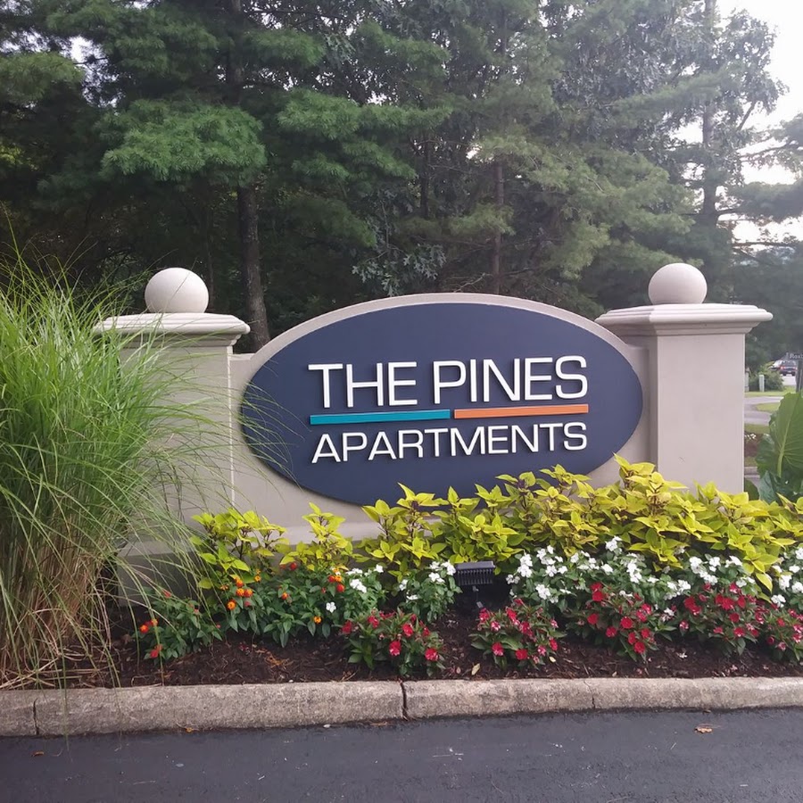 AKedOLS8PhtvGdCOGuJk29WAF1vxrLnWlZ38l44PL3Wt=s900ckc0x00ffffffnorj