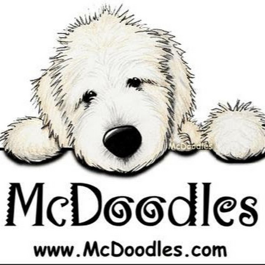 AKedOLS8n5dW7Eh1qoQRBhc6U_lQQ3t3y5OYC_JNL8c4g=s900ckc0x00ffffffnorj