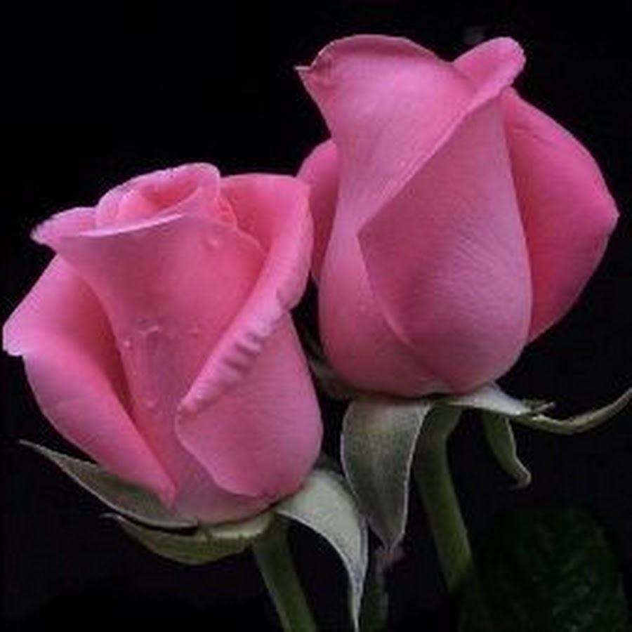 Баракатного дня картинки