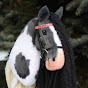 horses world YouTube Profile Photo