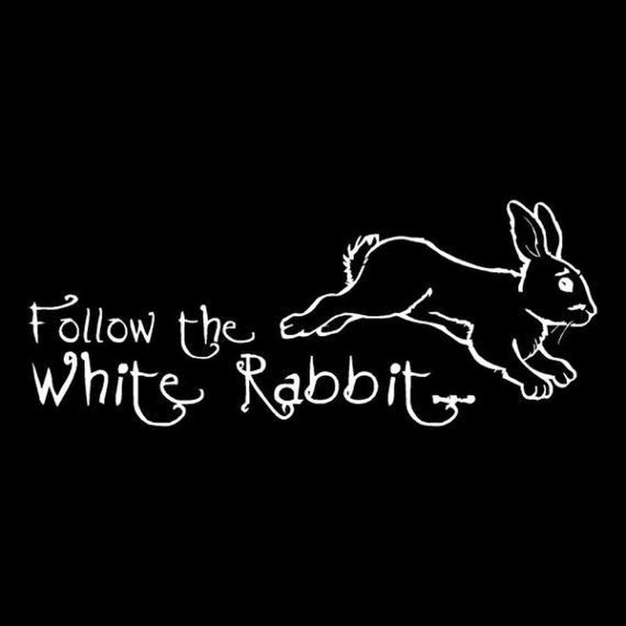 Follow the rabbit. Следую за белым кроликом. Следуй за белым кролико. Следуйте за белым кроликом. Следую за белым куроликом.