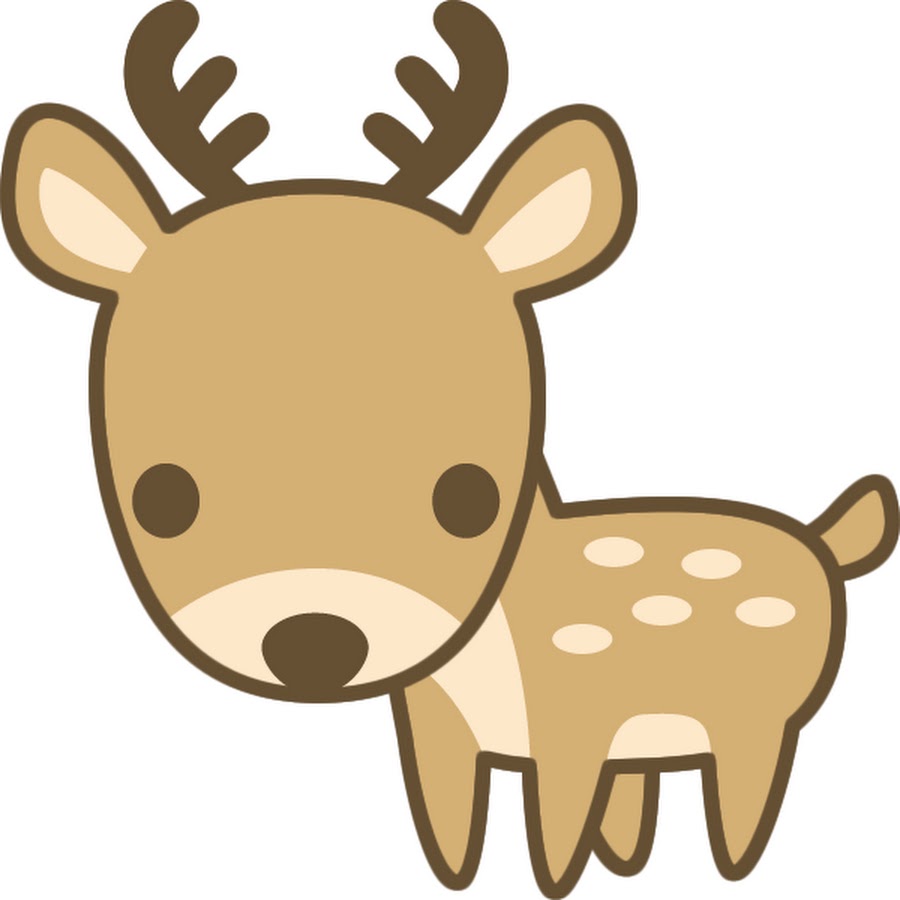 奈良ドラシカ Youtube