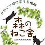 「森のねこ舎」保護猫カフェ